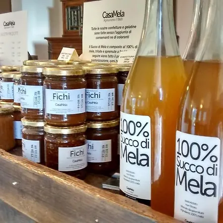 Casamela