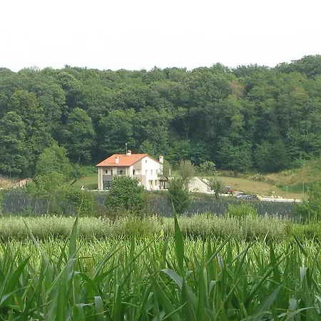 Farm stay Casamela *