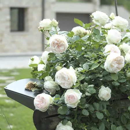 Farm stay Casamela