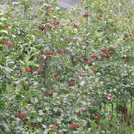 Casamela Paderno del Grappa