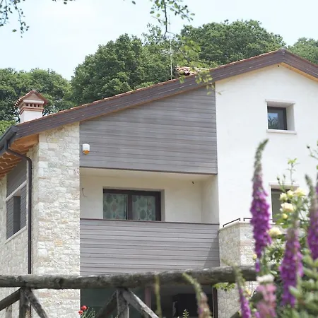 Casamela *
