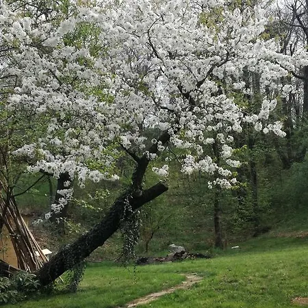 Farm stay Casamela *