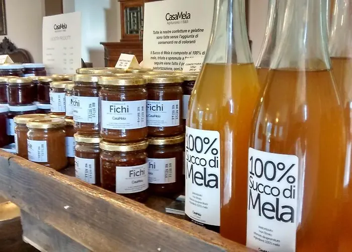 Casamela