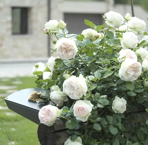 Farm stay Casamela