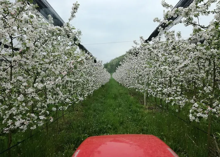 Casamela Farmház
